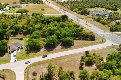 Land in Rotonda, Florida № 2163428 - photo 3