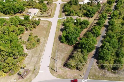 Land in Rotonda, Florida № 2163428 - photo 8
