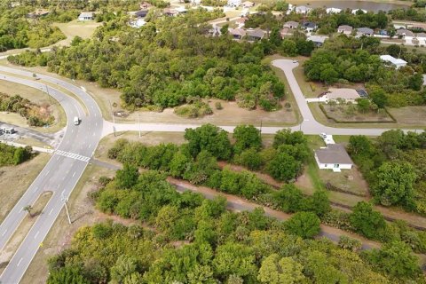Land in Rotonda, Florida № 2163428 - photo 15