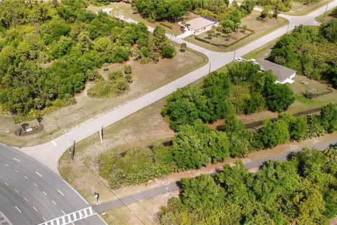 Land in Rotonda, Florida № 2163428 - photo 9