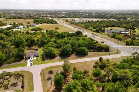 Land in Rotonda, Florida № 2163428 - photo 2