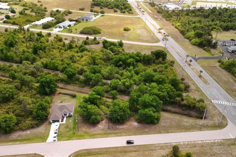 Land in Rotonda, Florida № 2163428 - photo 20