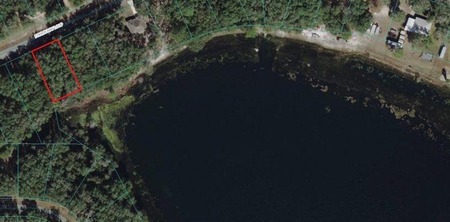 Land in Ocklawaha, Florida № 1812958