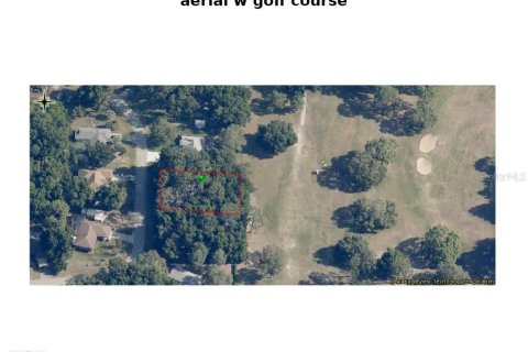 Land in Citrus Springs, Florida № 1598339 - photo 2
