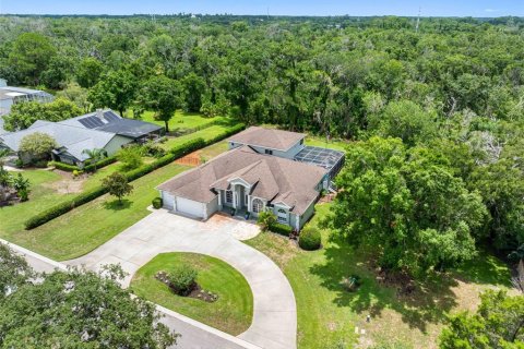Villa ou maison à vendre à Tarpon Springs, Floride: 5 chambres, 340.02 m2 № 2238514 - photo 26