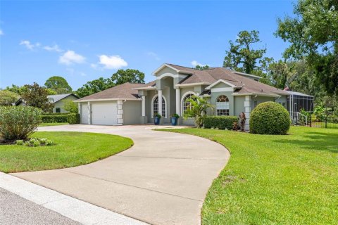House in Tarpon Springs, Florida 5 bedrooms, 340.02 sq.m. № 2238514