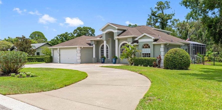 Villa ou maison à Tarpon Springs, Floride 5 chambres, 340.02 m2 № 2238514