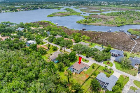 Villa ou maison à vendre à Tarpon Springs, Floride: 5 chambres, 340.02 m2 № 2238514 - photo 23