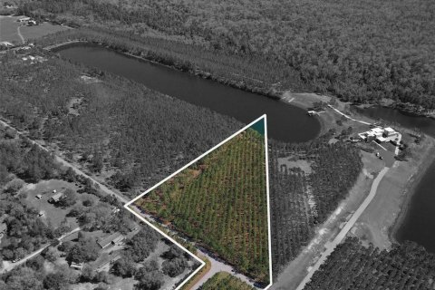 Terrain à vendre à DeLand, Floride № 1554940 - photo 4