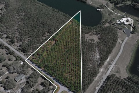 Terrain à vendre à DeLand, Floride № 1554940 - photo 5