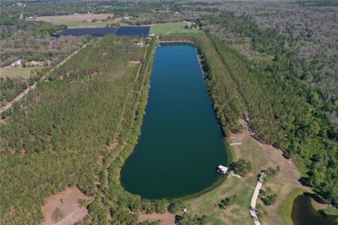 Terrain à vendre à DeLand, Floride № 1554940 - photo 2