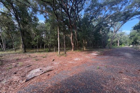 Land in Brooksville, Florida № 2312925 - photo 9