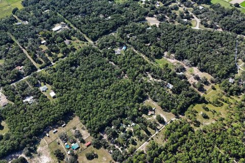 Land in Brooksville, Florida № 2312925 - photo 18