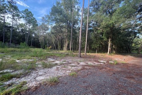 Land in Brooksville, Florida № 2312925 - photo 11