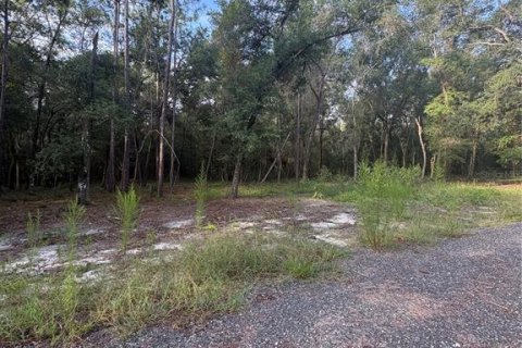 Land in Brooksville, Florida № 2312925 - photo 6