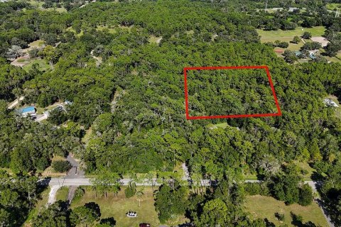 Land in Brooksville, Florida № 2312925 - photo 16