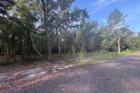 Land in Brooksville, Florida № 2312925 - photo 7
