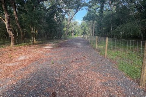 Land in Brooksville, Florida № 2312925 - photo 10