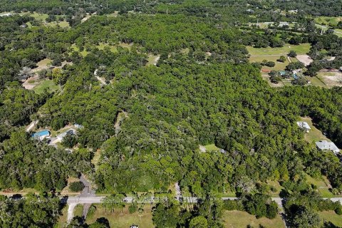 Land in Brooksville, Florida № 2312925 - photo 17
