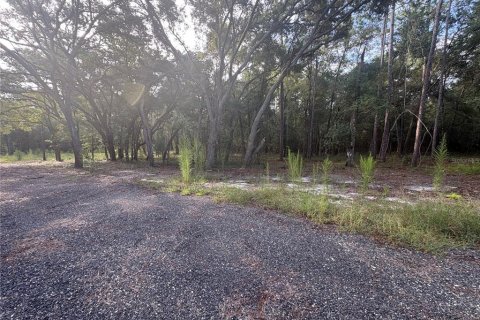 Land in Brooksville, Florida № 2312925 - photo 5