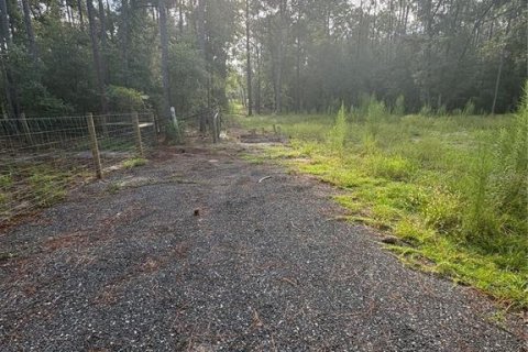 Land in Brooksville, Florida № 2312925 - photo 13