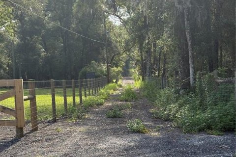 Land in Brooksville, Florida № 2312925 - photo 3