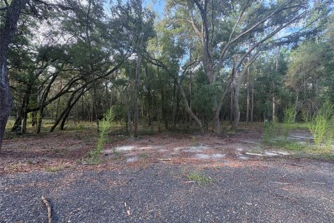 Land in Brooksville, Florida № 2312925 - photo 8
