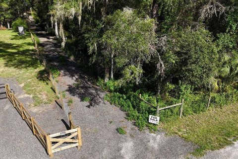 Land in Brooksville, Florida № 2312925 - photo 14