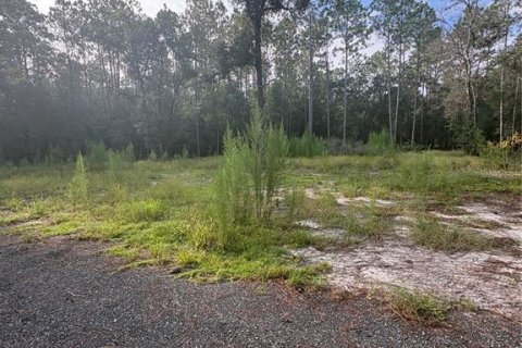 Land in Brooksville, Florida № 2312925 - photo 12