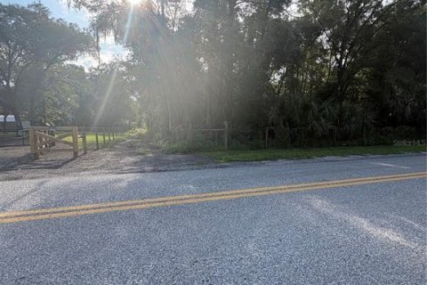 Land in Brooksville, Florida № 2312925 - photo 2