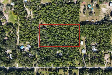 Land in Brooksville, Florida № 2312925 - photo 19
