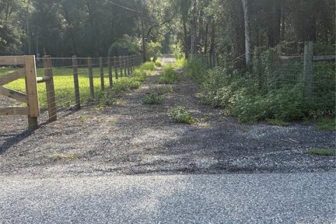 Land in Brooksville, Florida № 2312925 - photo 4