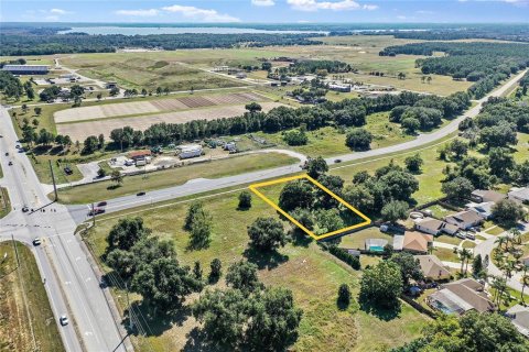 Terreno en venta en Tavares, Florida № 1908868 - foto 2