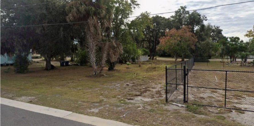 Terrain à Fort Meade, Floride № 2161462