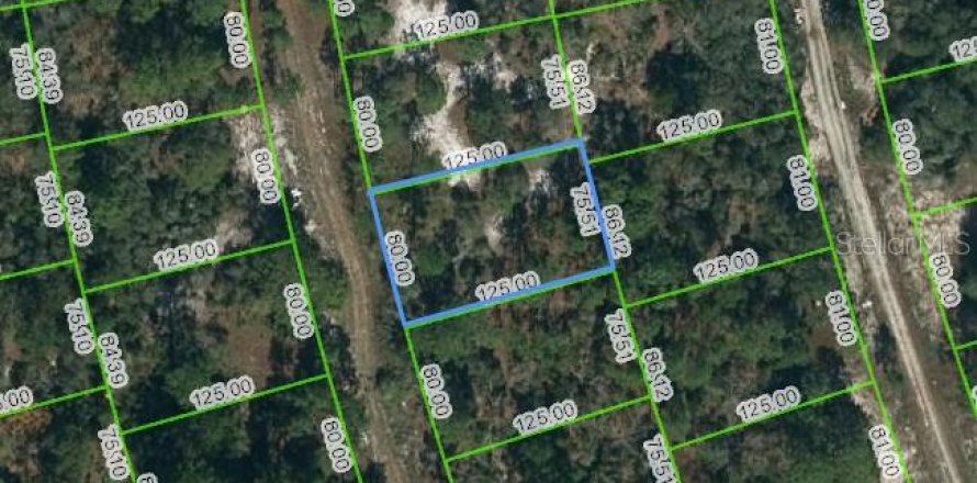 Land in Lake Placid, Florida № 2223965