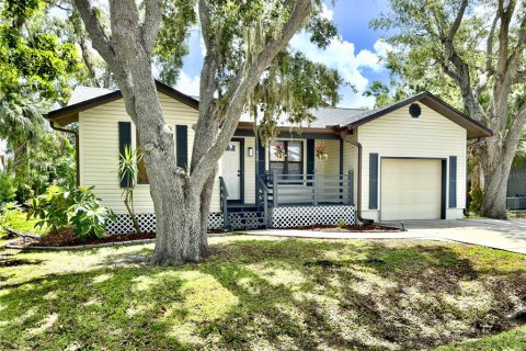 Villa ou maison à vendre à Ellenton, Floride: 3 chambres, 163.14 m2 № 1915973 - photo 2