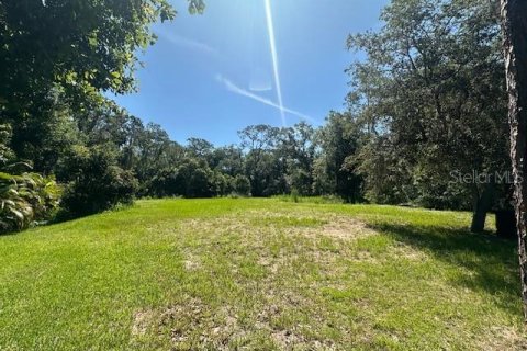Terreno en venta en Lutz, Florida № 1802434 - foto 4