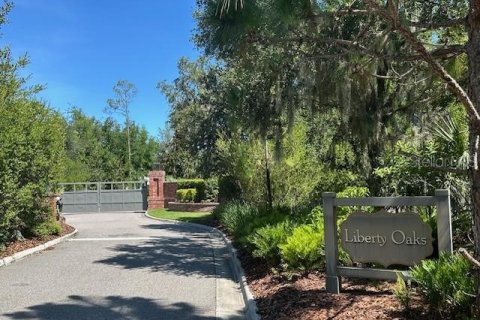 Terreno en venta en Lutz, Florida № 1802434 - foto 1