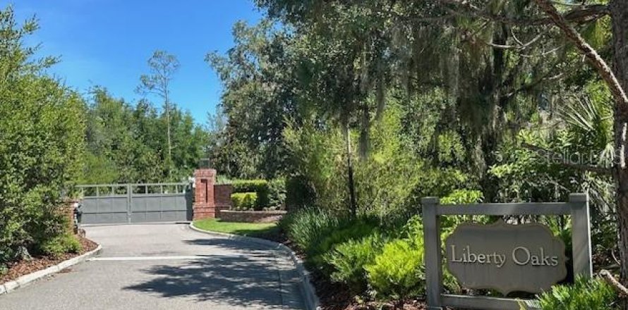 Terreno en Lutz, Florida № 1802434