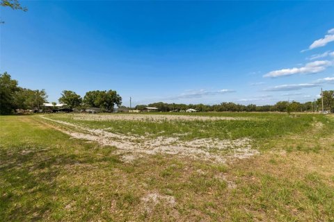 House in Plant City, Florida 2 bedrooms, 88.16 sq.m. № 2166432 - photo 17
