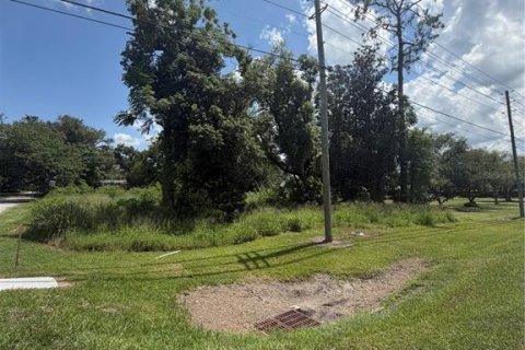Terrain à Groveland, Floride № 2151024
