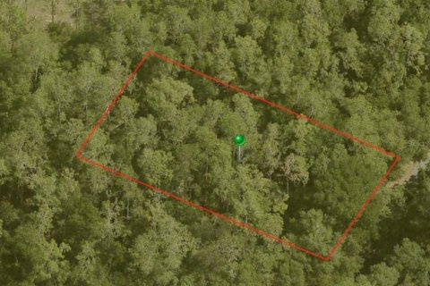 Land in Citrus Springs, Florida № 2163340