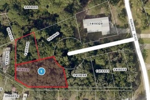 Land in Mount Dora, Florida № 2162353