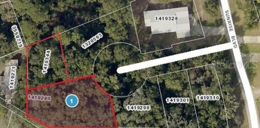 Land in Mount Dora, Florida № 2162353