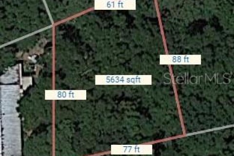 Land in Mount Dora, Florida № 2162353 - photo 4