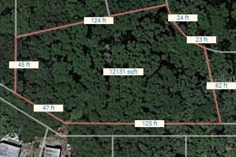 Land in Mount Dora, Florida № 2162353 - photo 5