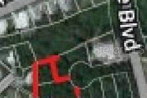 Land in Mount Dora, Florida № 2162353 - photo 2