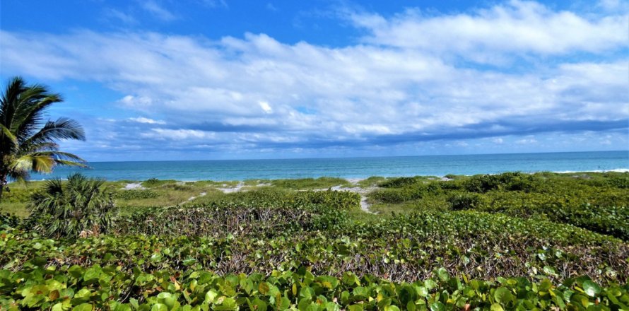 Casa en Hobe Sound, Florida 5 dormitorios, 458.1 m2 № 1146559