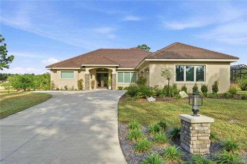 Villa ou maison à Lecanto, Floride 3 chambres, 236.9 m2 № 2121271