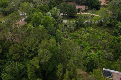 Terreno en venta en Lake Mary, Florida № 577863 - foto 7
